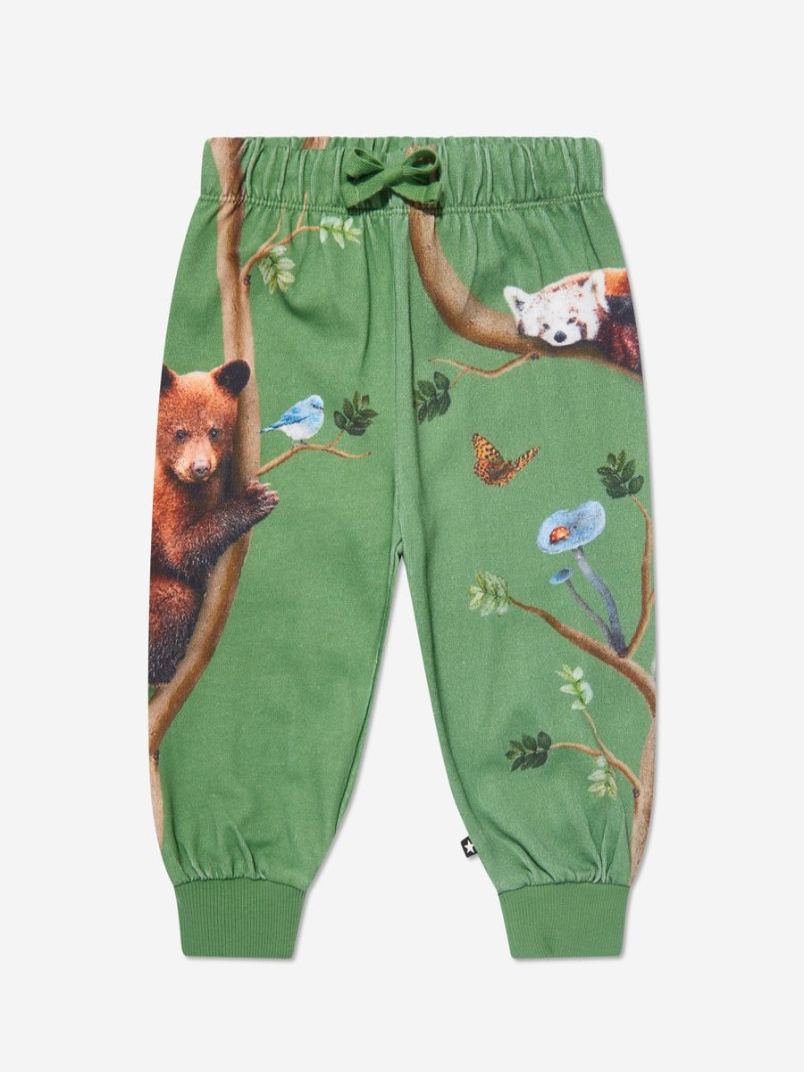 Baby Molo Sweatpants | Kids Animal Living Joggers In Green