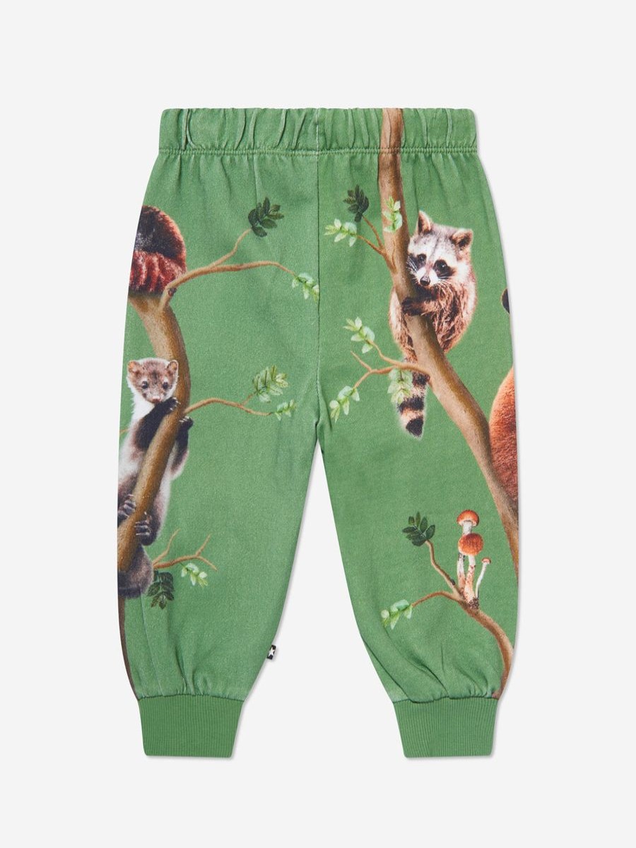 Baby Molo Sweatpants | Kids Animal Living Joggers In Green