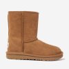 Teen UGG Footwear | Unisex Twinface Sheepskin Classic Ii Boots