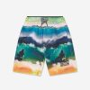 Baby Molo Swimwear | Boys Neal Swim Shorts In Multicolour