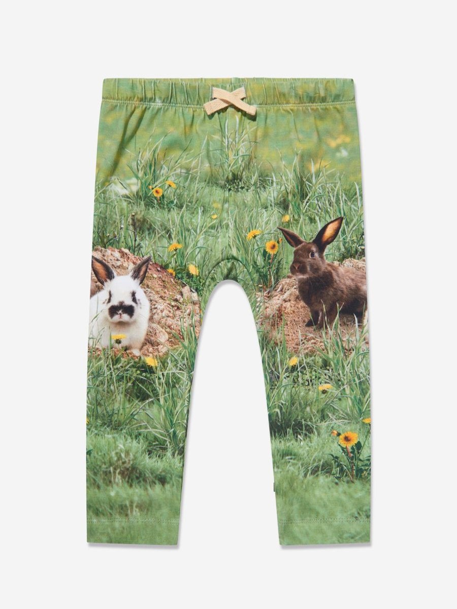 Baby Molo Sweatpants | Kids Rabbit Joggers In Green