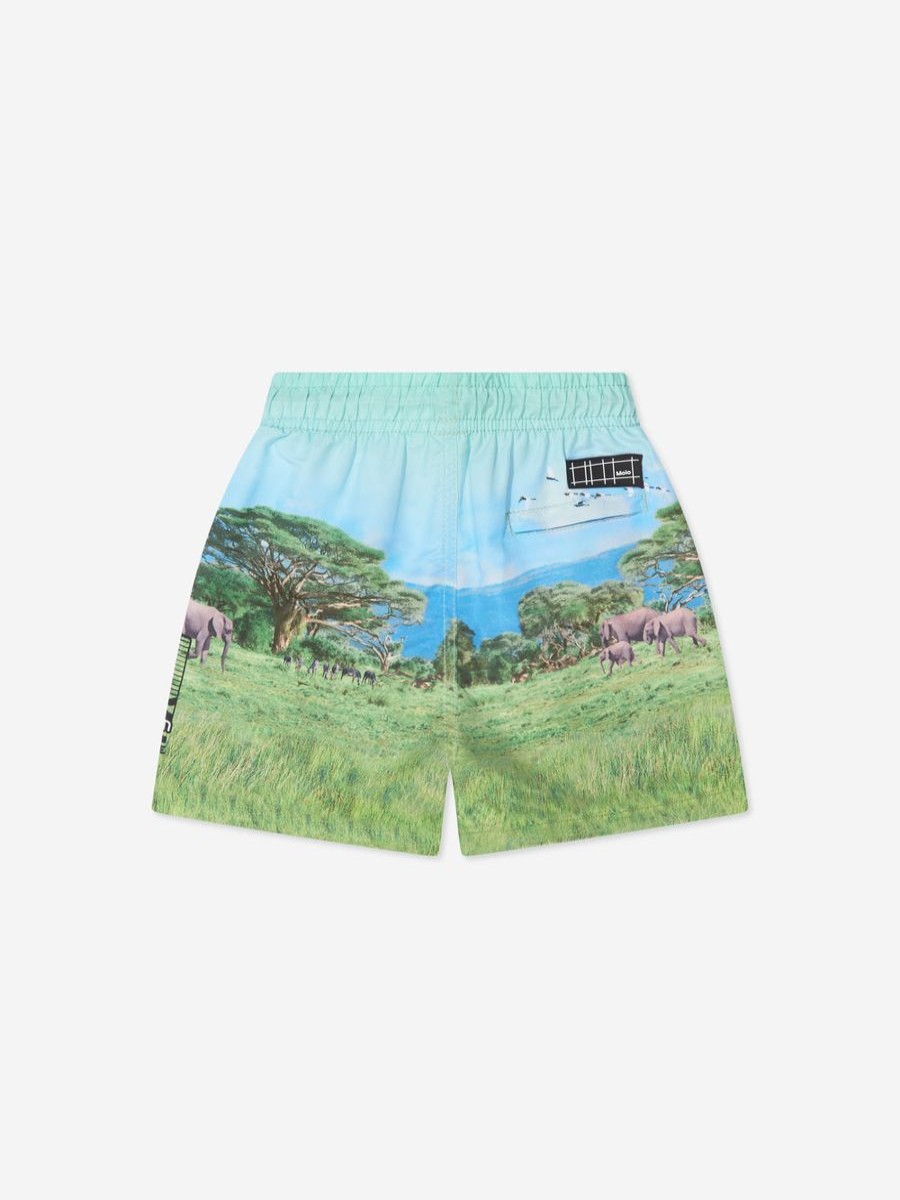 Baby Molo Swimwear | Boys Lion Print Niko Swim Shorts In Blue