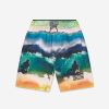 Teen Molo Swimwear | Boys Neal Swim Shorts In Multicolour