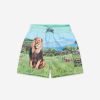 Teen Molo Swimwear | Boys Lion Print Niko Swim Shorts In Blue