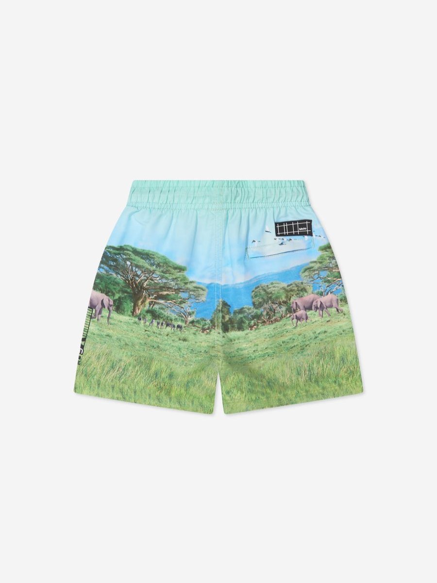 Teen Molo Swimwear | Boys Lion Print Niko Swim Shorts In Blue