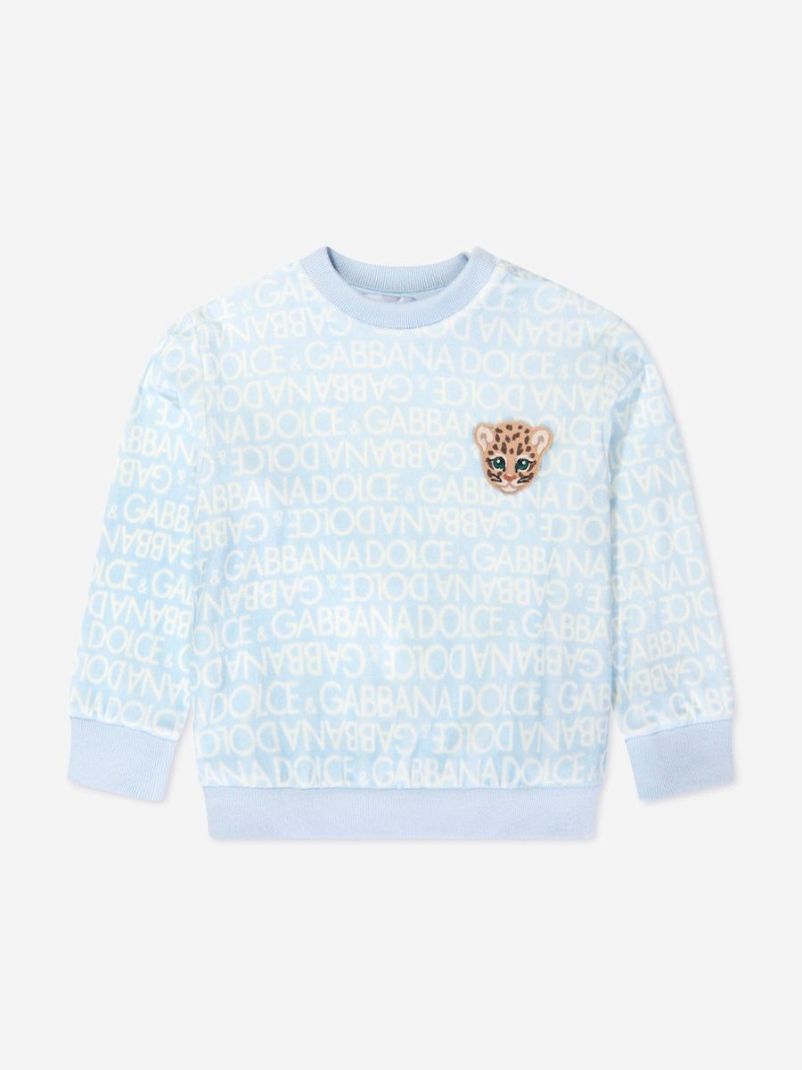 Baby Dolce & Gabbana Kids Sweatshirts & Hoodies | Baby Boys Logo Sweatshirt In Blue