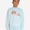 Boys Palm Angels Sweatshirts & Hoodies | Boys Bear Sweatshirt In Blue